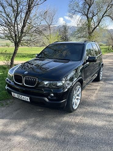 BMW X5: 2002 г., 4.4 л, Типтроник, Бензин, Кроссовер