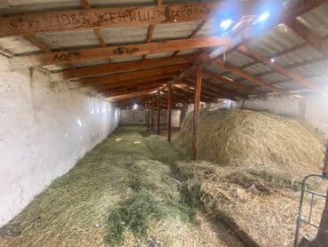 Үйдү ижарага алам: Үй, 80 кв. м, 3 бөлмө, Менчик ээси, Косметикалык оңдоо — 9