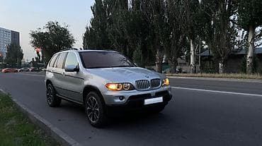 BMW X5: 2005 г., 4.4 л, Автомат, Бензин