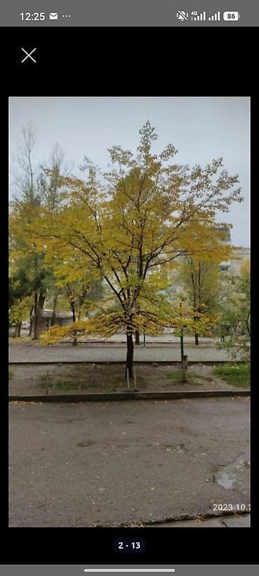 106: 1 комната, 39 м², 106 серия, 2 этаж, Готовая ПСО (под самоотделку) — 4