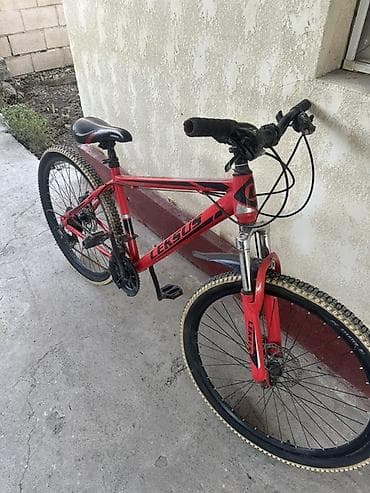 lexus es 2019: Горный велосипед, Сталь — 1