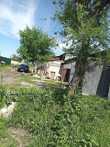 павильон мясной: Продаётся фермерский объект под содержание крупного рогатого скота. - — 7