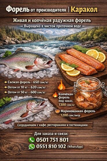 малина цена за кг 2023 бишкек: Жаңы кармалган — 1