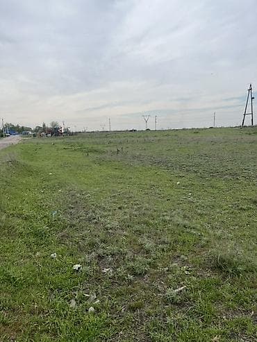 Жер тилкелери: 5 соток, Курулуш, Кызыл китеп — 5