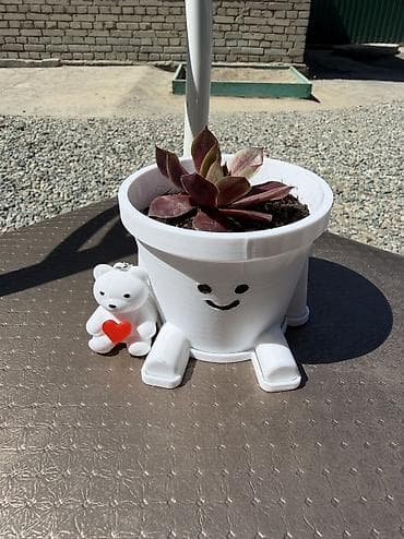 неделю: Комнатные растения кактус и суккулент красный и зеленый . В — 3