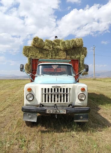 Продам сено в тюках. - Вид: прессованные прямоугольные тюки. -