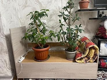 набор бокс: Детская гарнитура, Для девочки, Для мальчика, ДСП, цвет - Красный — 7