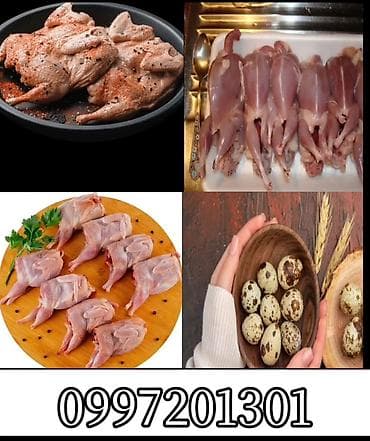 большие попугаи: Халяль суповые перепела без кожи замороженные и под заказ 450сом за — 4