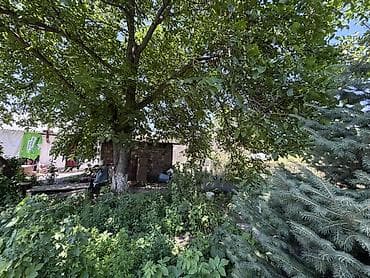 бир: 9 соток, Курулуш, Кызыл китеп — 3