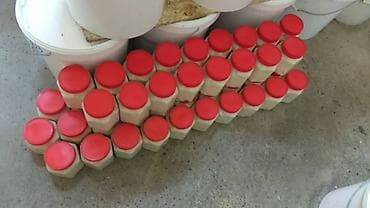 семечки тыквенные: Продаю белый крем мёд Для диабетиков и аллергиков Не вызывает не — 2