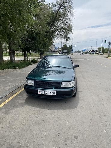 Audi 100: 1994 г., Кол менен иштөөчү, Бензин, Седан — 2