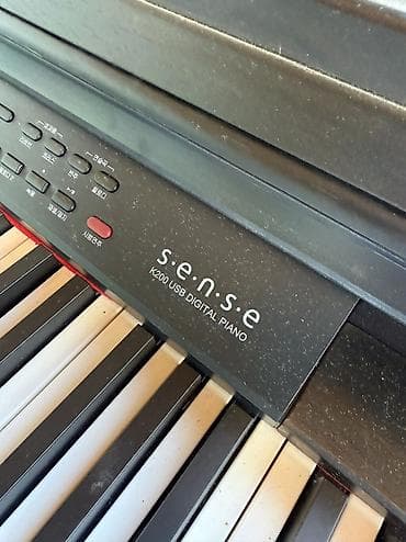 Комузы: Цифровой рояль
Пианино — 10