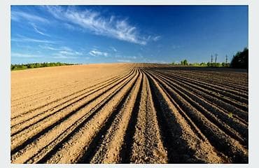 Питомник растений, 2040 соток, Без оборудования, Электричество