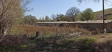 Кошара, 30 соток, Действующий, Без оборудования, Холодная вода, Электричество
