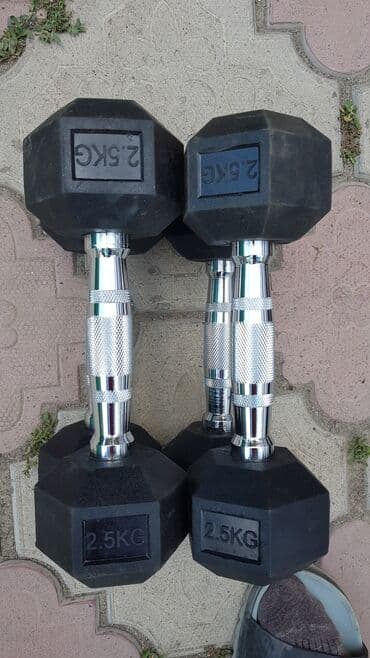 набор гантель в чемодане flexter 50кг: Гантели 6граник. обрезиненные 1кг 280сом — 1