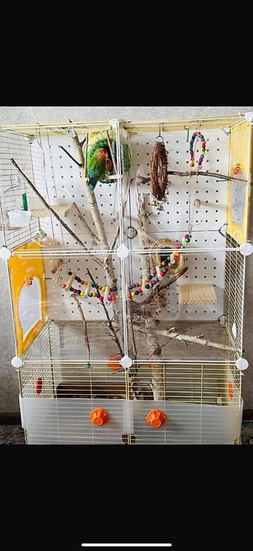 гнёзда: Большая модульная клетка/вольер для мелких и средних птиц — 1