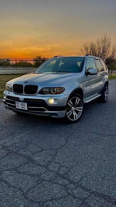 BMW X5: 2004 г., 4.4 л, Автомат, Бензин, Кроссовер