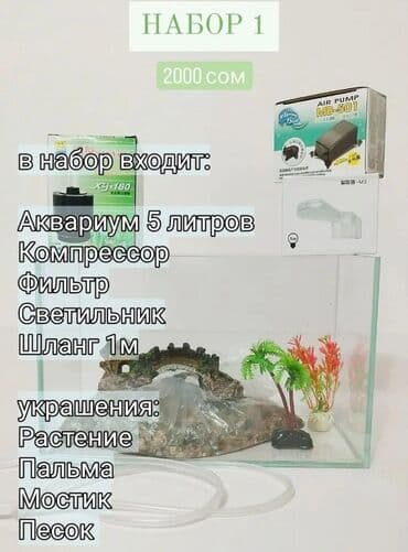 заказать аквариум: Новый аквариум в комплекте объём 5 л. В комплект входит необходимое — 2