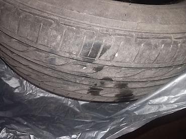 Диски: Шины 195 / 65 / R 15, Лето, Б/у, Комплект, Легковые, Япония, DUNLOP — 4