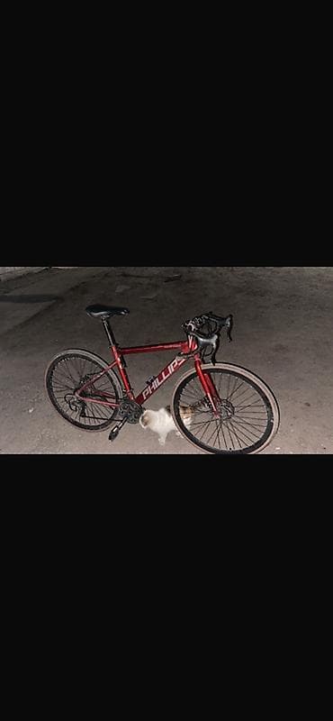 BMX велосипеддери: Шаардык велосипед, Велосипед алкагы M (156 - 178 см) — 2