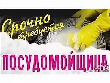 Посудомойщики: Требуется Посудомойщик, Оплата: Ежедневно — 1