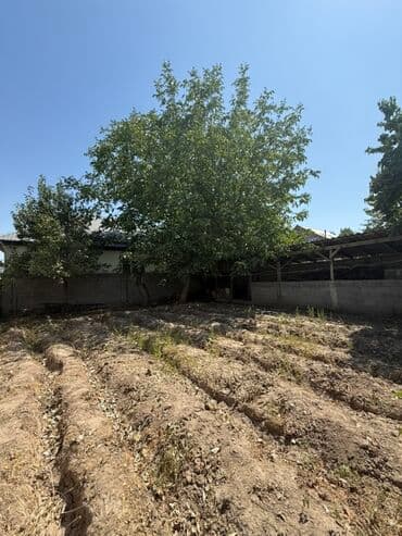 дом офицеров: ПРОДАЕТСЯ 5 КОМНАТНЫЙ ДОМ В Ж/М АК-ОРГО!!! Кол-во комнат: 5 Площадь — 19