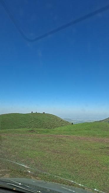 shadow line: Крышка багажника Honda, Оригинал — 2