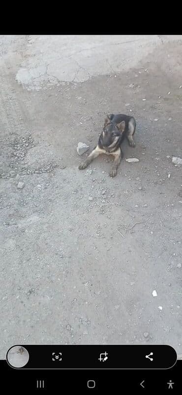 с работой: Требуется Отделочник: Утепление, Более 5 лет опыта — 9