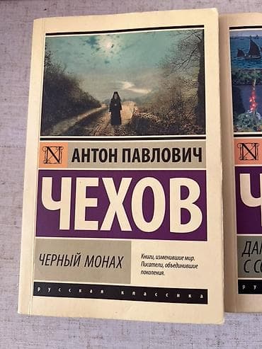 Сборник из 3 книг в мягких обложках (серии «Русская классика» и