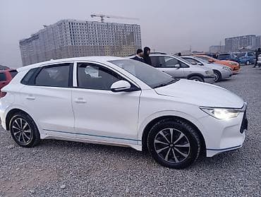 daf 75: BYD E2: 2021 г., Робот, Электромобиль, Внедорожник — 2