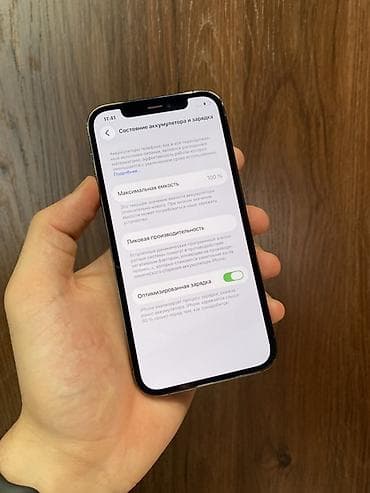 11 про каракол: IPhone 12 Pro, Б/у, 256 ГБ, Графит, Защитное стекло, Чехол, 100 % — 5