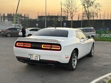 крутые машины: Dodge Challenger: 2021 г., 3.6 л, Автомат, Бензиновая, Купе — 7