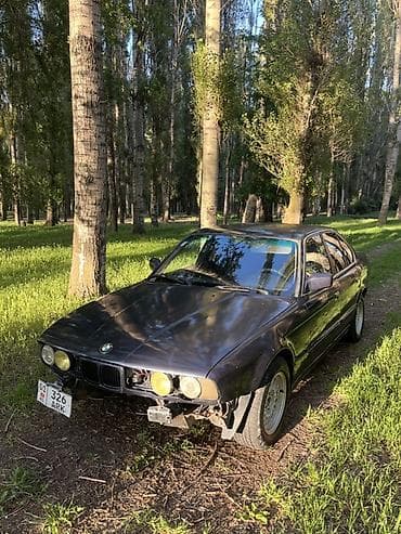 BMW 5 series: 1991 г., 2.5 л, Механика, Бензин, Седан
