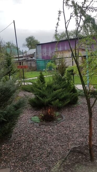 сдаю дом новопакровка: Дом, 90 м², 7 комнат, Собственник, Косметический ремонт — 12