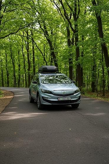 спойлеры торнео: BYD : 2022 г., Электромобиль, Минивэн — 2