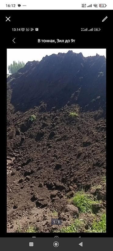 цветы чолпон ата: В тоннах, Бесплатная доставка, Камаз — 1