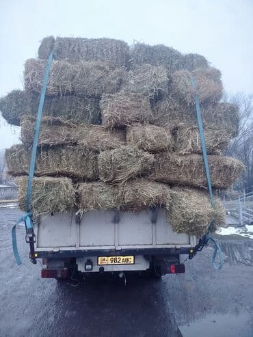 оборудование для корма: 1укос беде Чоп аралаш сатылат — 3