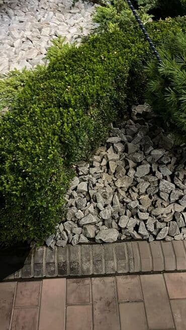 камни для аквариума: Продажа натуральных декоративных камней для ландшафтного дизайна — 21