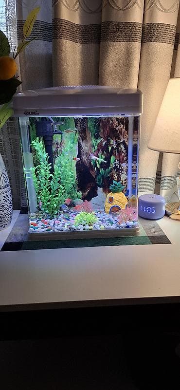 сколько стоит аквариум с рыбками: Настольный аквариум с оборудованием Xilong 22 литра. ПРОДАЕМ БЕЗ РЫБОК — 3