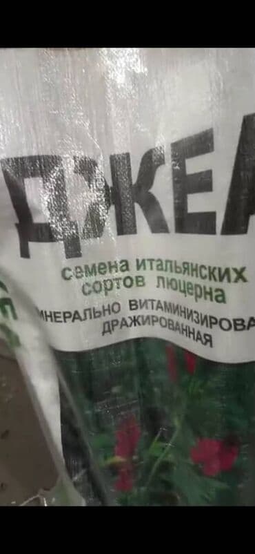 купить семена люцерна: Семена кормовых растений: Люцерна, Самовывоз, Бесплатная доставка, Платная доставка — 10