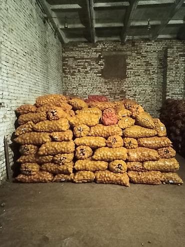 круглый пуфик: Самовывоз — 2