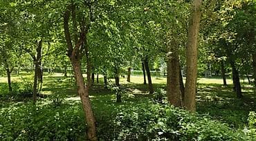 Квартиры: 1 комната, 32 м², 104 серия, 1 этаж, Евроремонт — 6