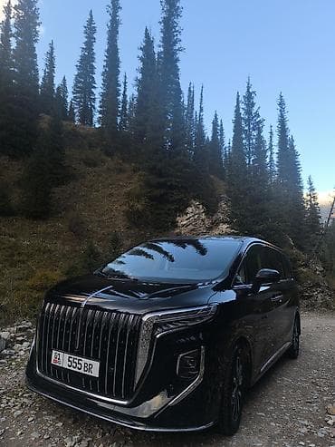 вайфа: VIP Минивен авто HongQi H9 на ЗАКАЗ. Авто представительского класса — 5