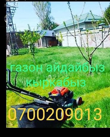 Газон айдайбыз . Кыркабыз. Даарылайбыз Бак отургузабыз Бак кыркабыз