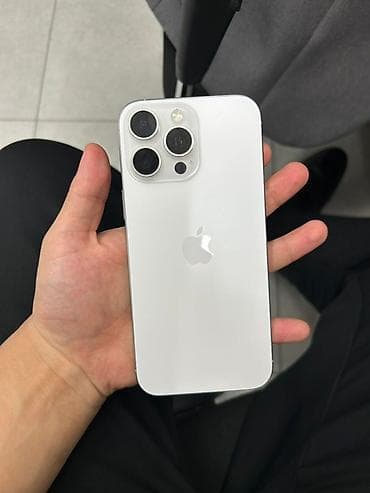 iphone pro: IPhone 16 Pro Max, Серебристый, Чехол — 1