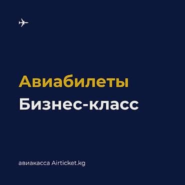 эконом понели: ✈ Авиабилеты Бизнес-класса. Премиальный сервис на всех этапах полёта – — 1