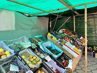 12 мкр Продается готовый бизнес овощной магазин Площадь:15м2 Со at lalafo.kg 12 мкр Продается готовый бизнес овощной магазин Площадь:15м2 Со