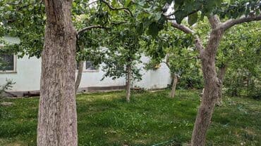 контейнер дом бишкек: Үй, 100 кв. м, 10 бөлмө, Менчик ээси — 4