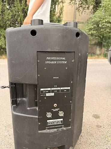 aphone x: Продаю! двухполосная акустическая система Soundking FP215. Есть торг — 4