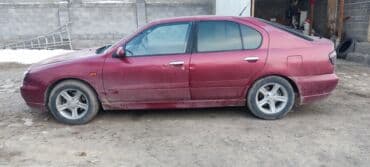пружины нива: Nissan Primera: 2000 г., 2 л, Типтроник, Бензин, Хэтчбэк — 7